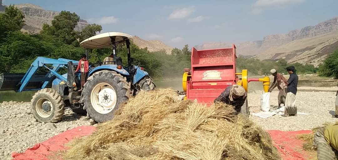 لجنة وزارية تبدأ رصد احتياجات وتحديات القطاع الزراعي والثروة الحيوانية في المهرة